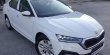 Kiralık Yeni Skoda Octavia 1.0 E-TEC Elite Hibrit - Hibrit - Otomatik | Fotoğraf 1